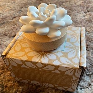 Desert Bloom Passive Diffuser